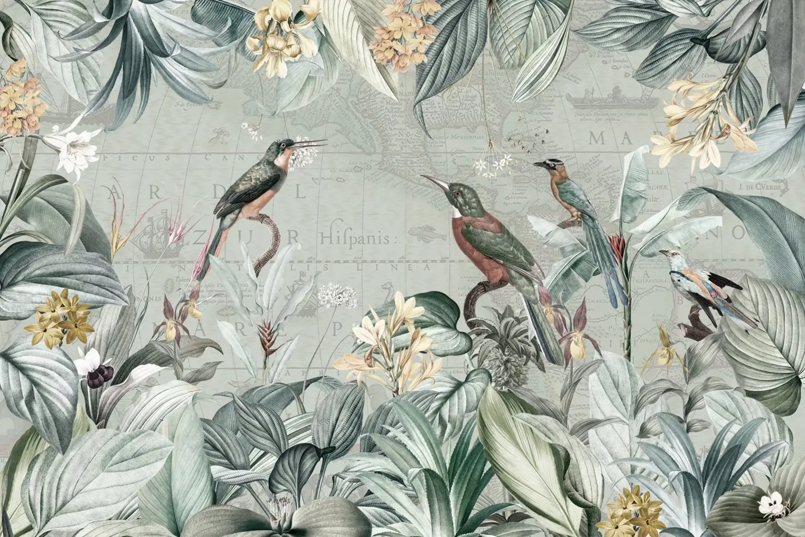 Martin pescatore d'epoca ai tropici pellicola backlit da Vintage World - Uta Naumann