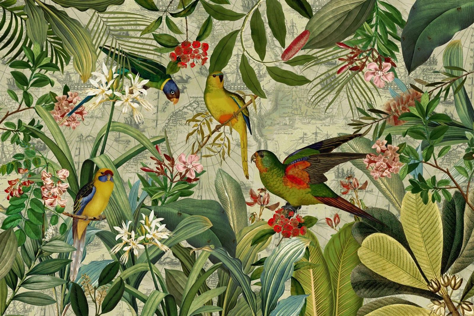 Vivid Jungle: A Vintage Expedition poster by Vintage World - Uta Naumann