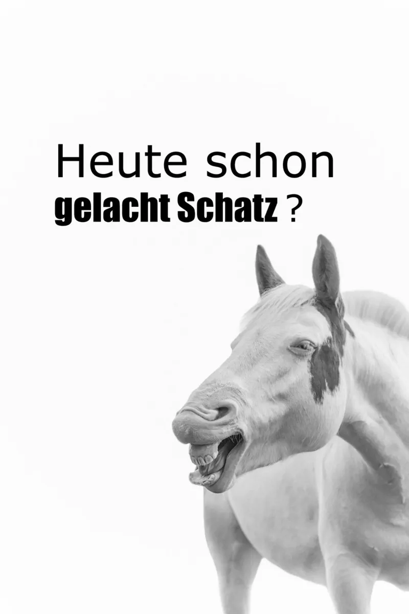 Paardenhumor "Gelachen vandaag?" canvas met Baklijst van Carinaprint