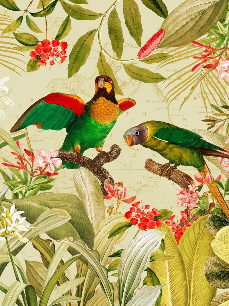 Pappagalli esotici colorati e nostalgici in una giungla tropicale 1 pellicola backlit da Vintage World - Uta Naumann