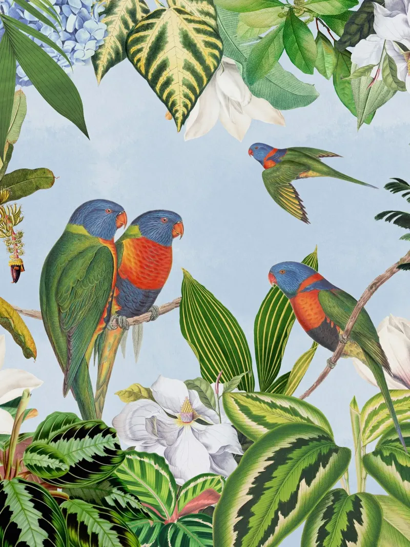 Pappagalli esotici in un'avventura nella giungla tropicale pellicola backlit da Vintage World - Uta Naumann