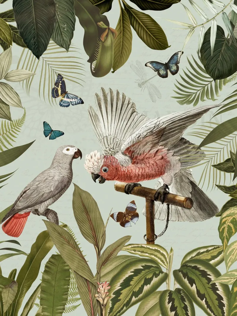 Nostálgicos loros tropicales luchan en un paisaje selvático 1 metacrilato de Vintage World - Uta Naumann