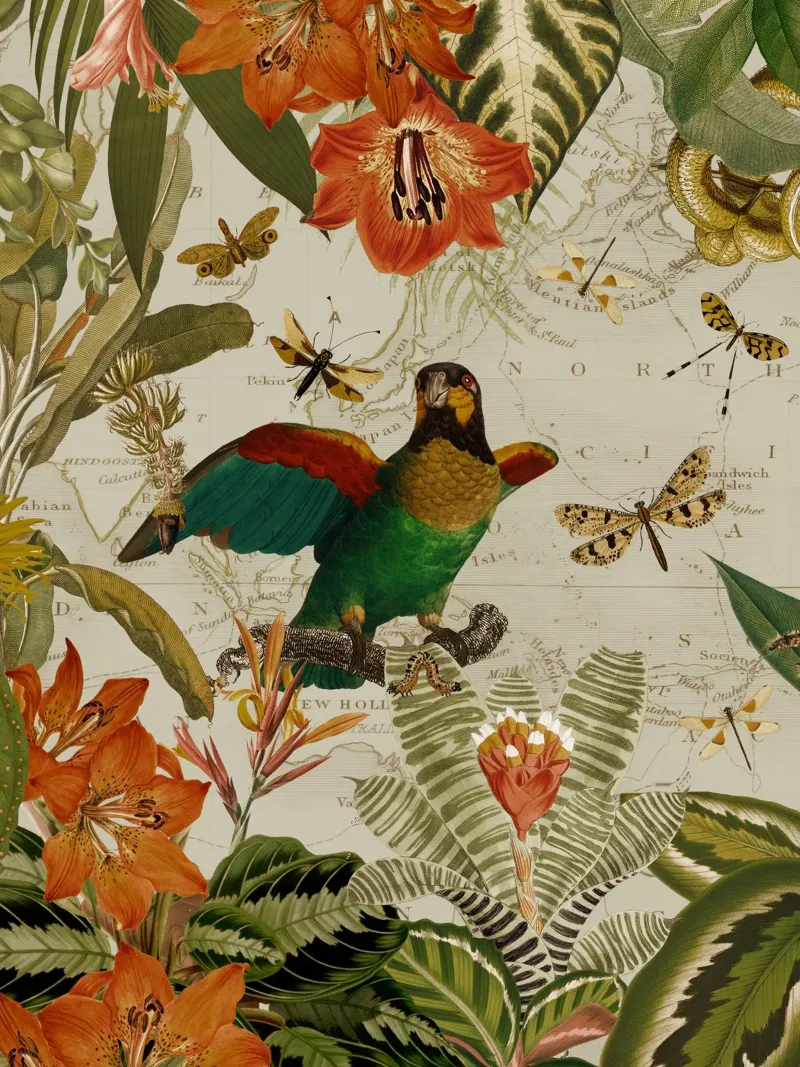 Pappagalli esotici colorati e nostalgici in una giungla tropicale alluminio dibond da Vintage World - Uta Naumann