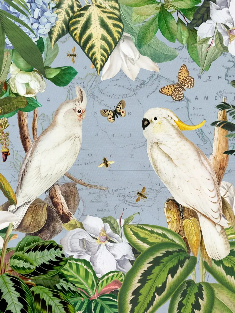 Cacatua bianchi Vita esotica della giungla fauna tropicale 1 pellicola backlit da Vintage World - Uta Naumann