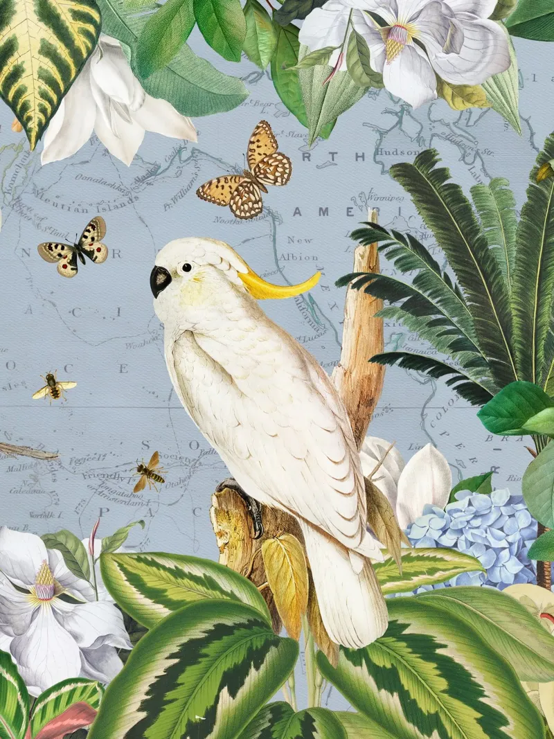 Cacatua bianchi Vita selvatica tropicale esotica della giungla 2 pellicola backlit da Vintage World - Uta Naumann