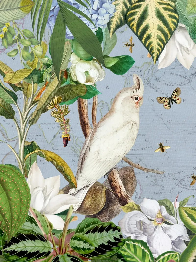 Cacatua bianchi Vita selvatica tropicale esotica della giungla 3 alluminio dibond da Vintage World - Uta Naumann