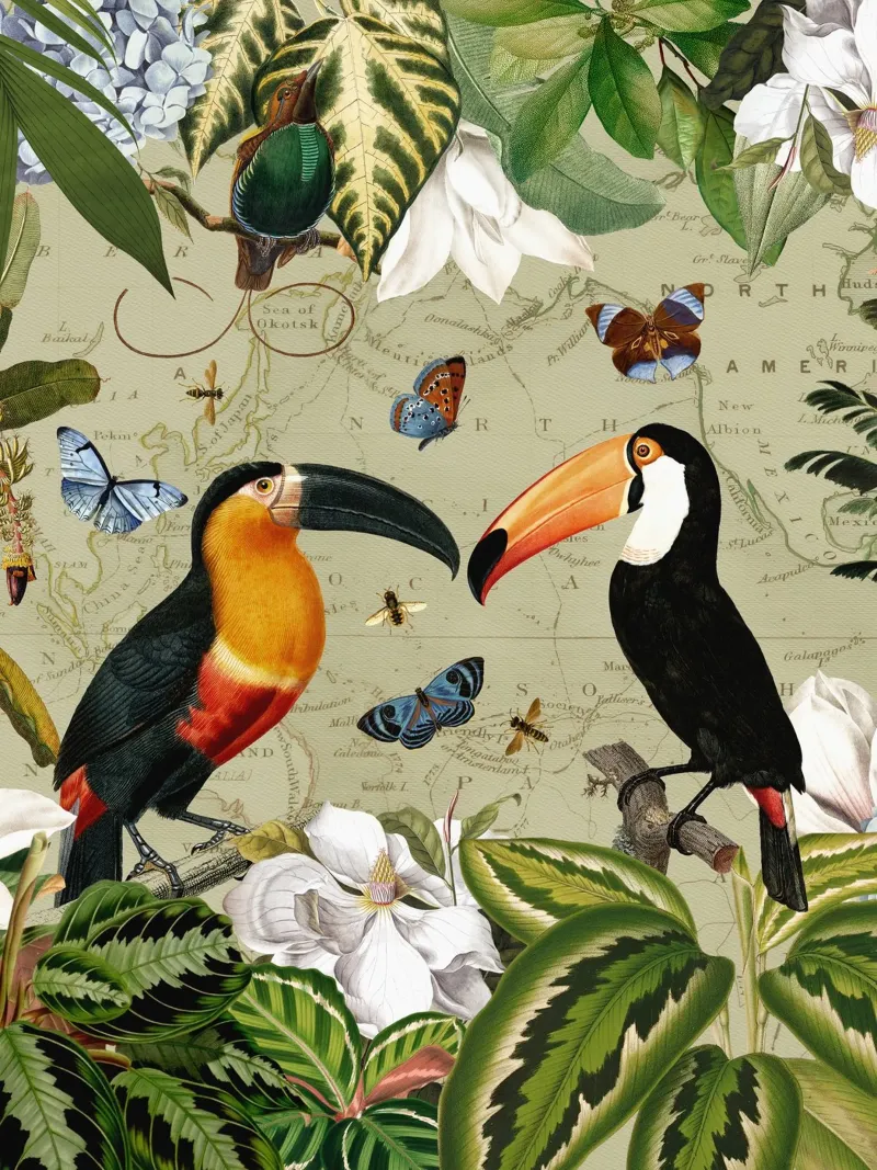 Tropical Toucans And Butterflies in Exotic Jungle forex plate by Vintage World - Uta Naumann