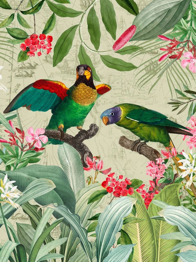 Perroquets exotiques colorés et nostalgiques dans une jungle tropicale 2 poster de Vintage World - Uta Naumann