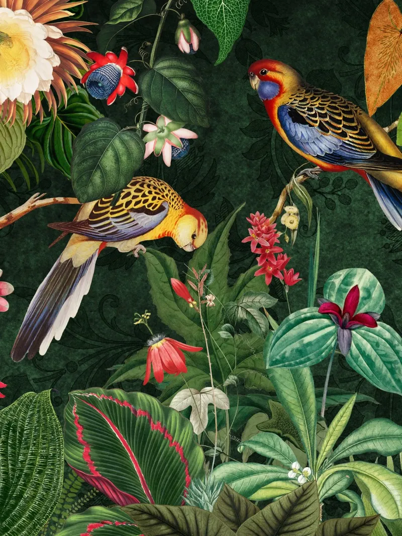 Vintage Midnight Giungla tropicale con uccelli esotici 2 alluminio dibond da Vintage World - Uta Naumann