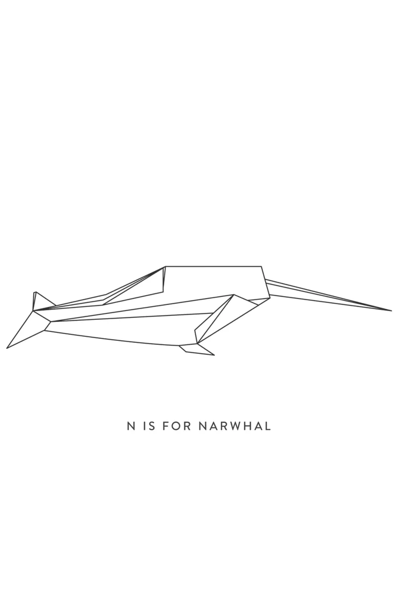 N carta hahnemühle da Julia Marquardt-Lott