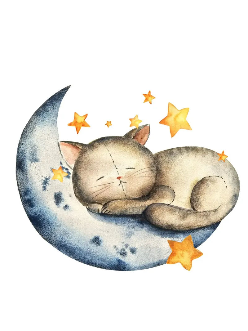 Sleeping Cat pellicola backlit da Indigo Rain