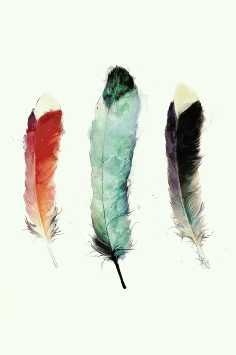 Feathers plexiglass da Amy Hamilton