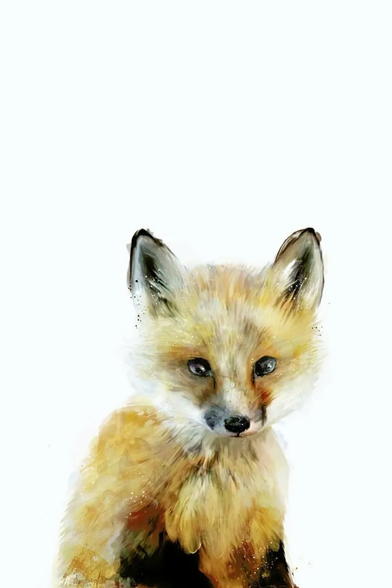 Little Fox poster con telaio in alluminio da Amy Hamilton
