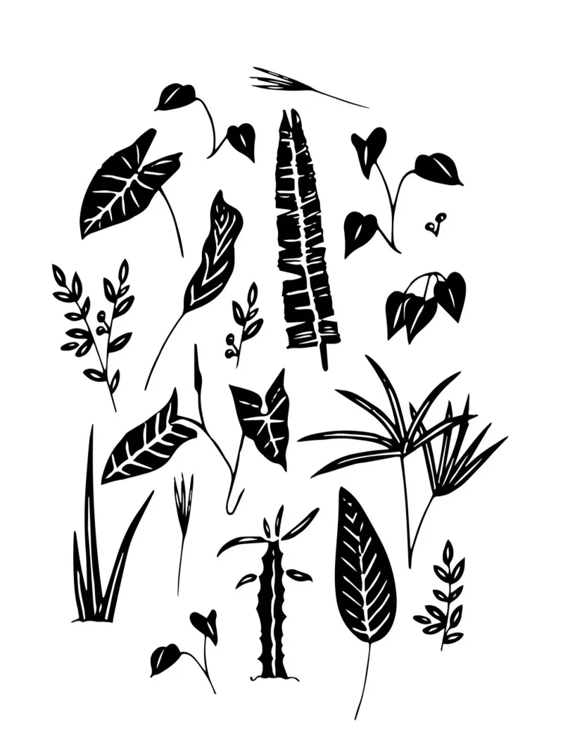 Plants of my Home pellicola backlit da anisillustration