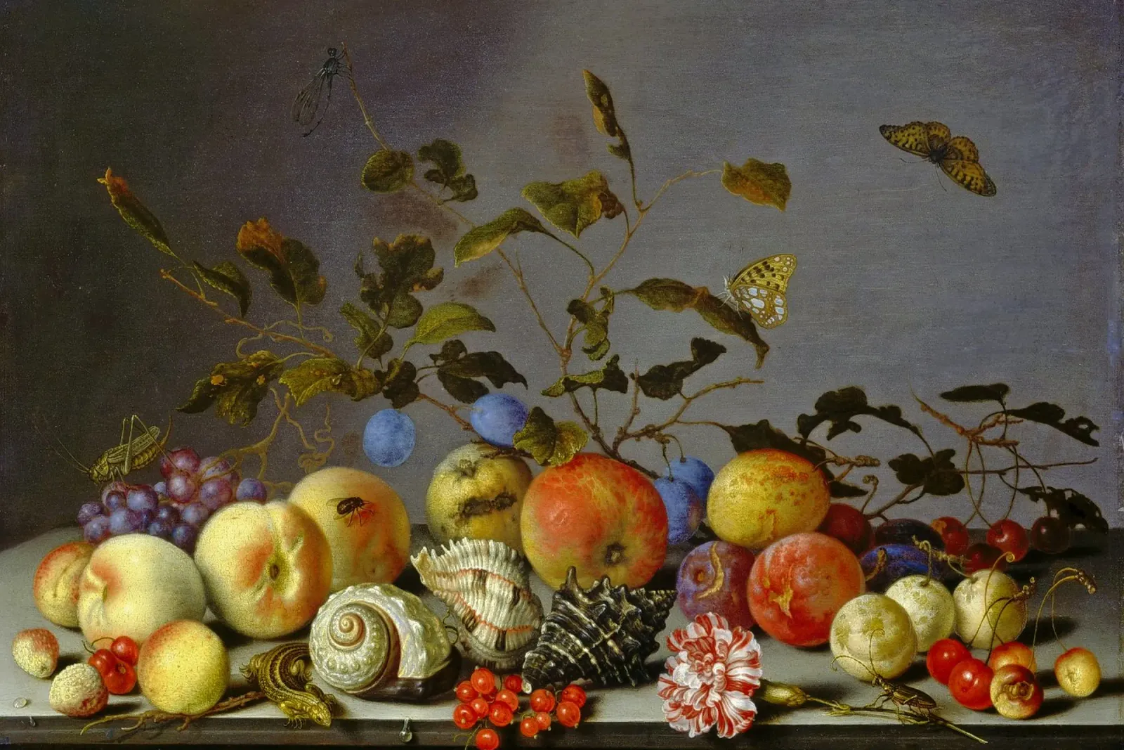 Balthasar van der Ast - Natura morta con frutta pellicola backlit da ARTOTHEK