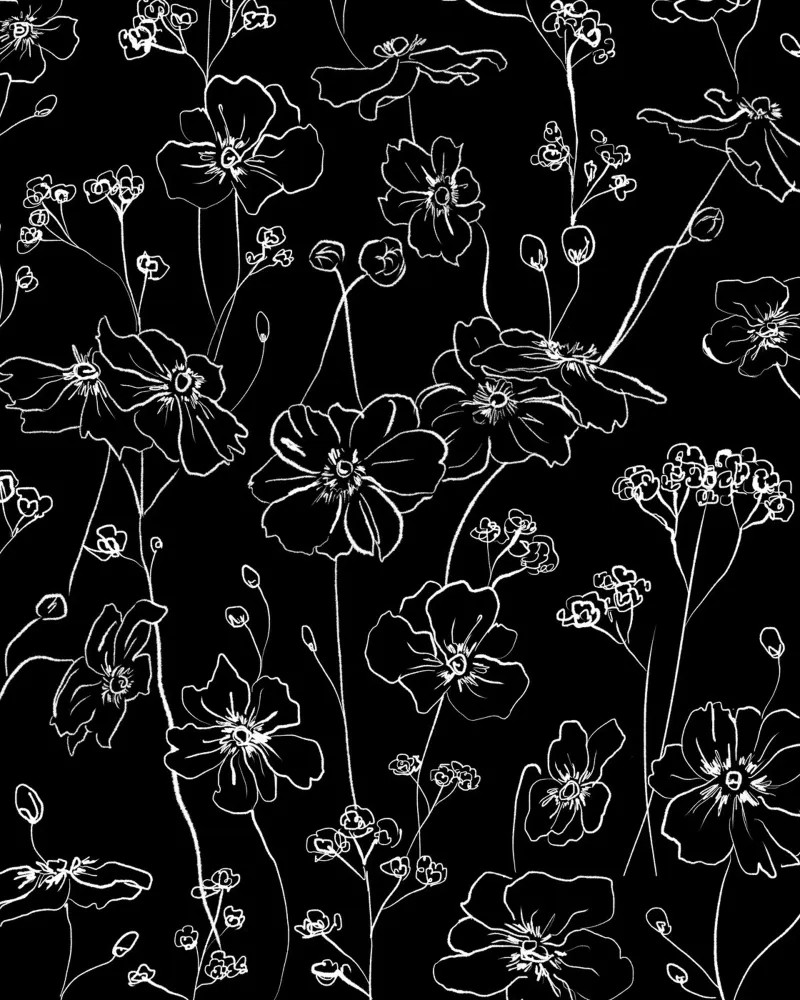 Black Wild Roses Pattern pellicola backlit da anisillustration