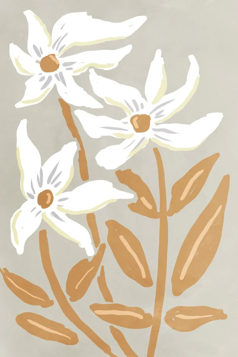 Fiori bianchi minimalisti pellicola backlit da Melloi Art Print