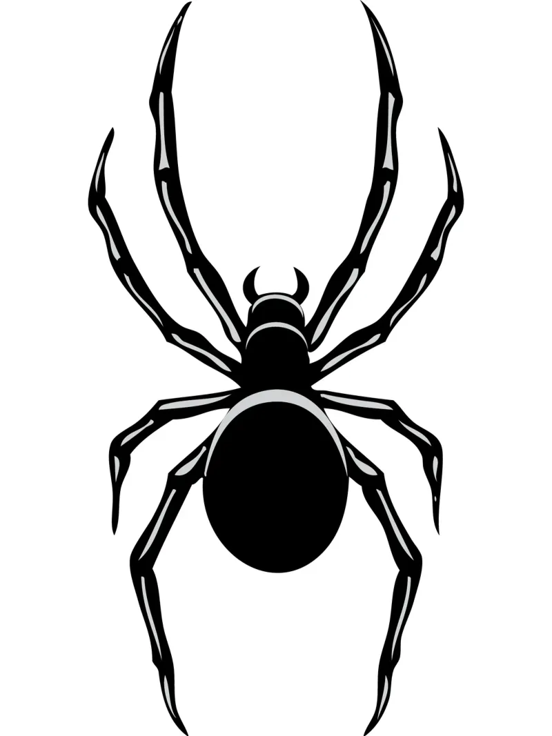 disegno della silhouette di un ragno poster con telaio in legno da ririedis