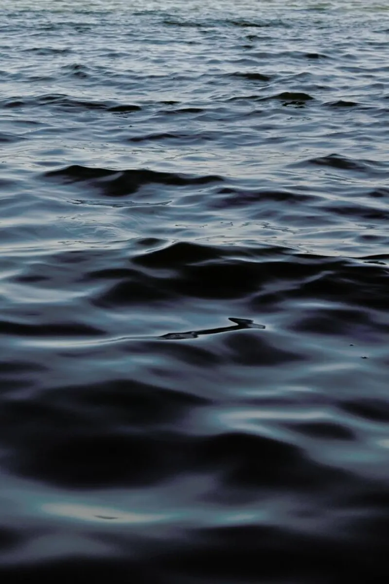 Feet In The Water poster con telaio in legno da Studio Nahili