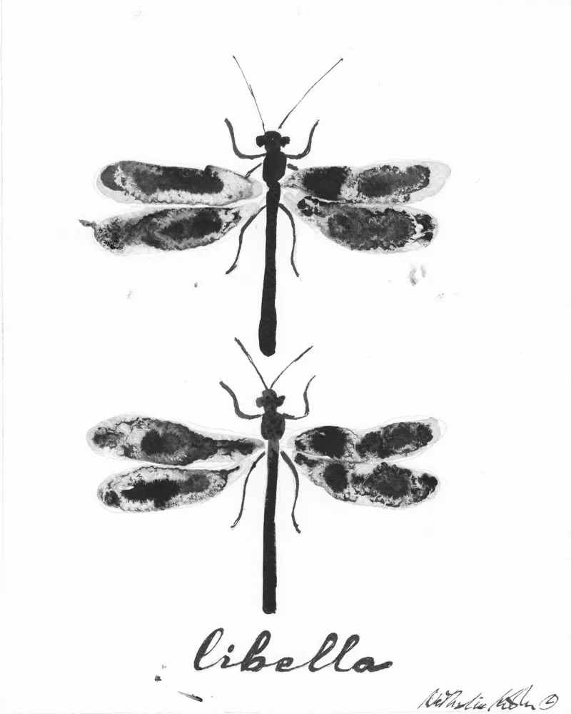 black dragon fly poster with plastic frame by Nathys_illustration