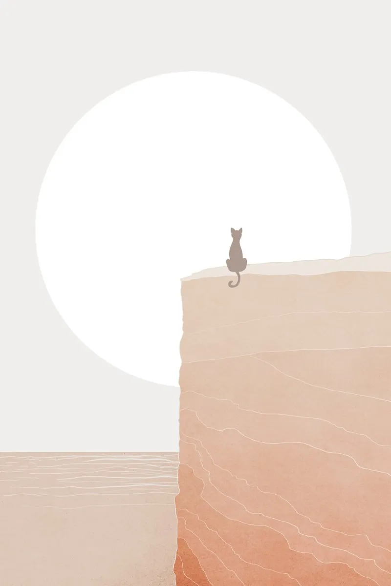 Cat on Cliff at Sunset canvas with Floater frame by Melloi Art Print