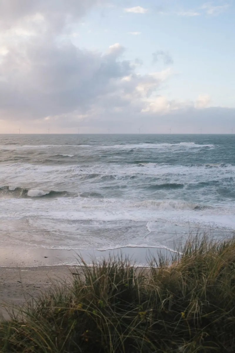 Nordsee im Wind pellicola backlit da The Wild Creative Studio