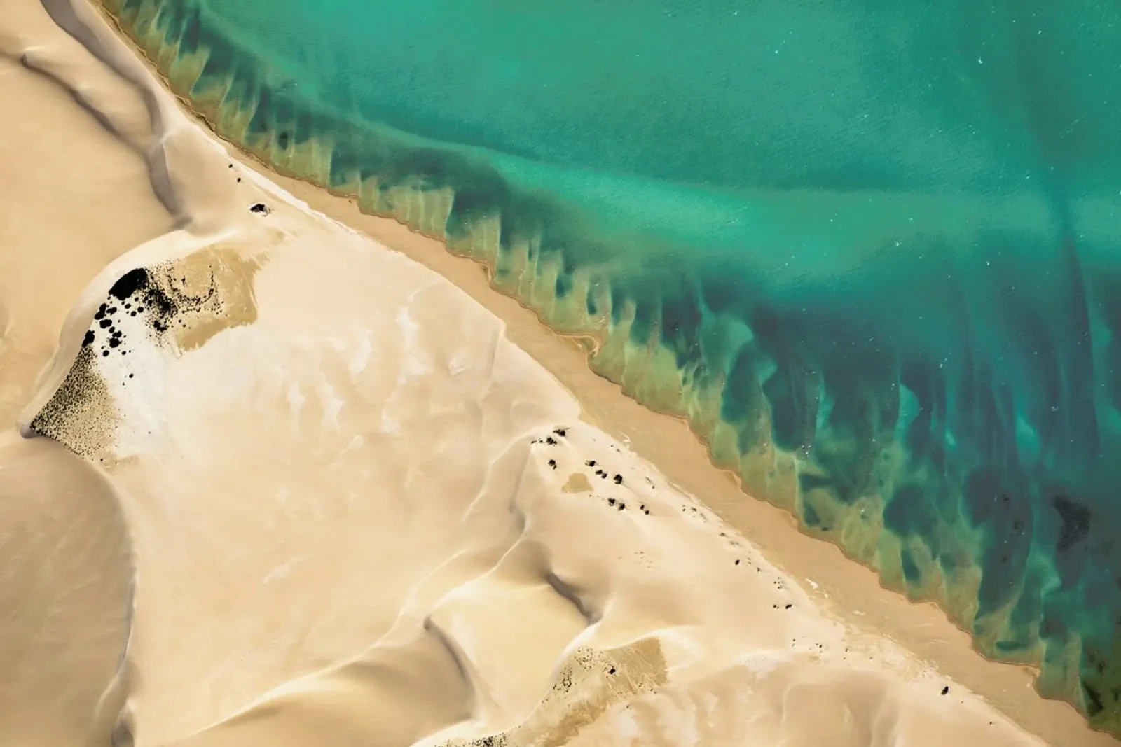 Shark Bay 3 poster con telaio in plastica da Simon Butterworth