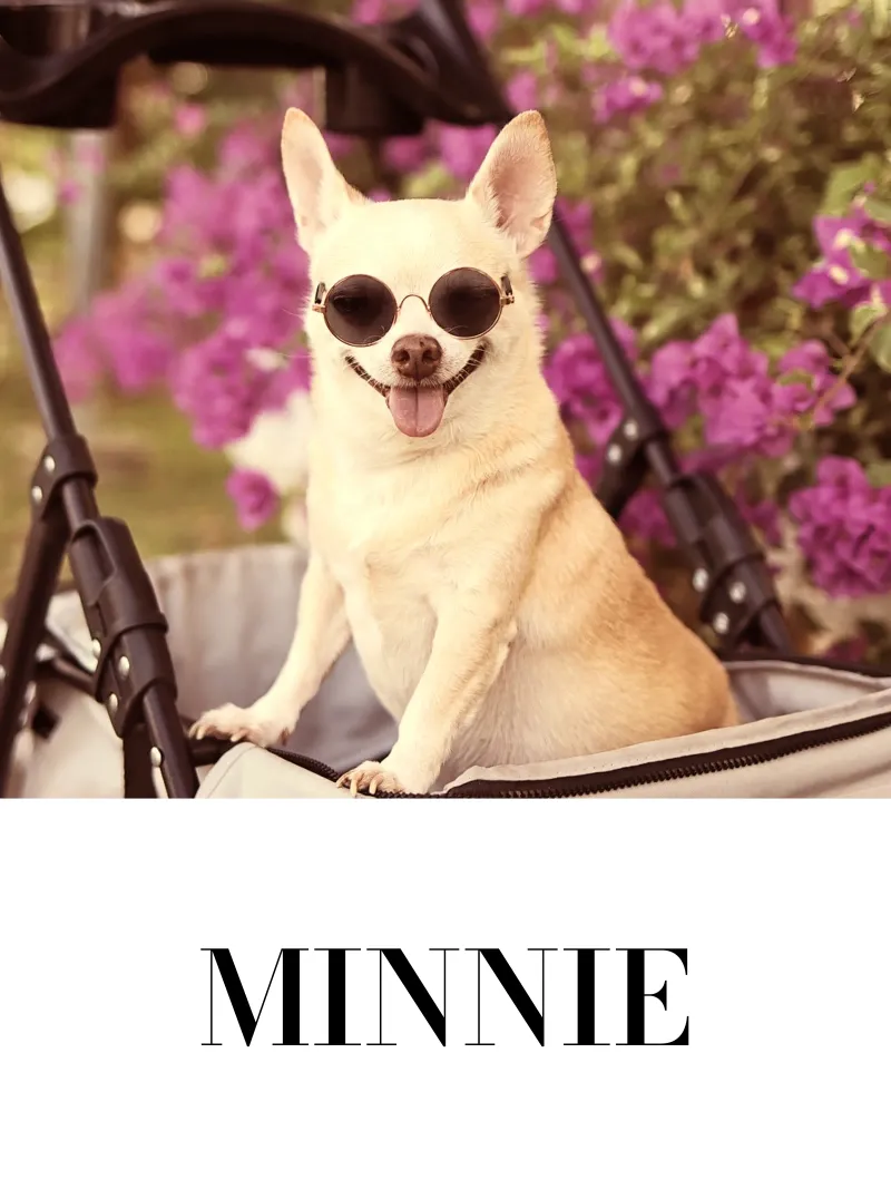 My dog carta hahnemühle da WORTSPIEL