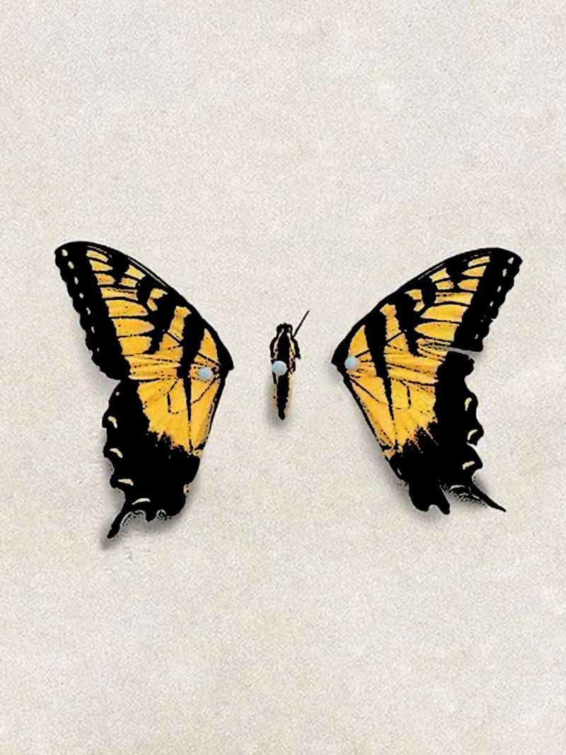 Ali di farfalla PARAMORE Art pellicola backlit da music soul