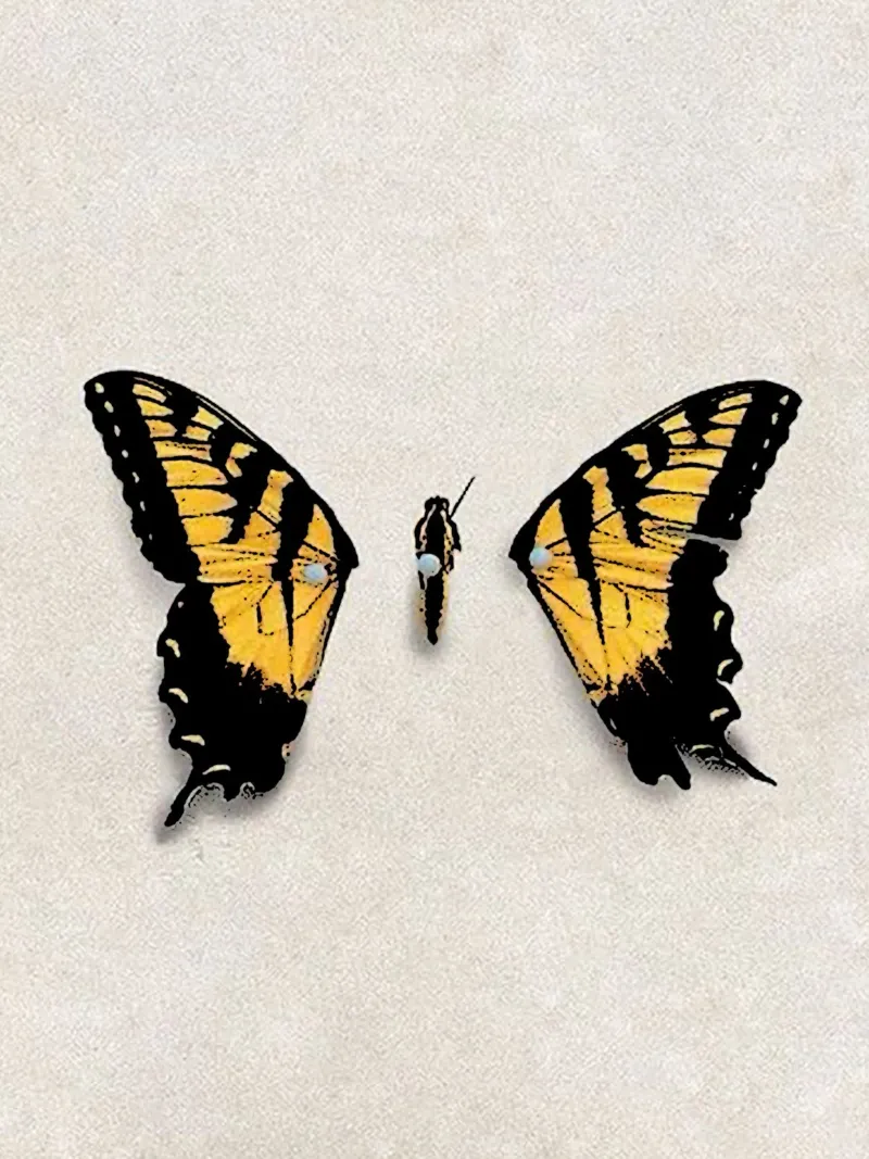Ali di farfalla PARAMORE Art pellicola backlit da music soul