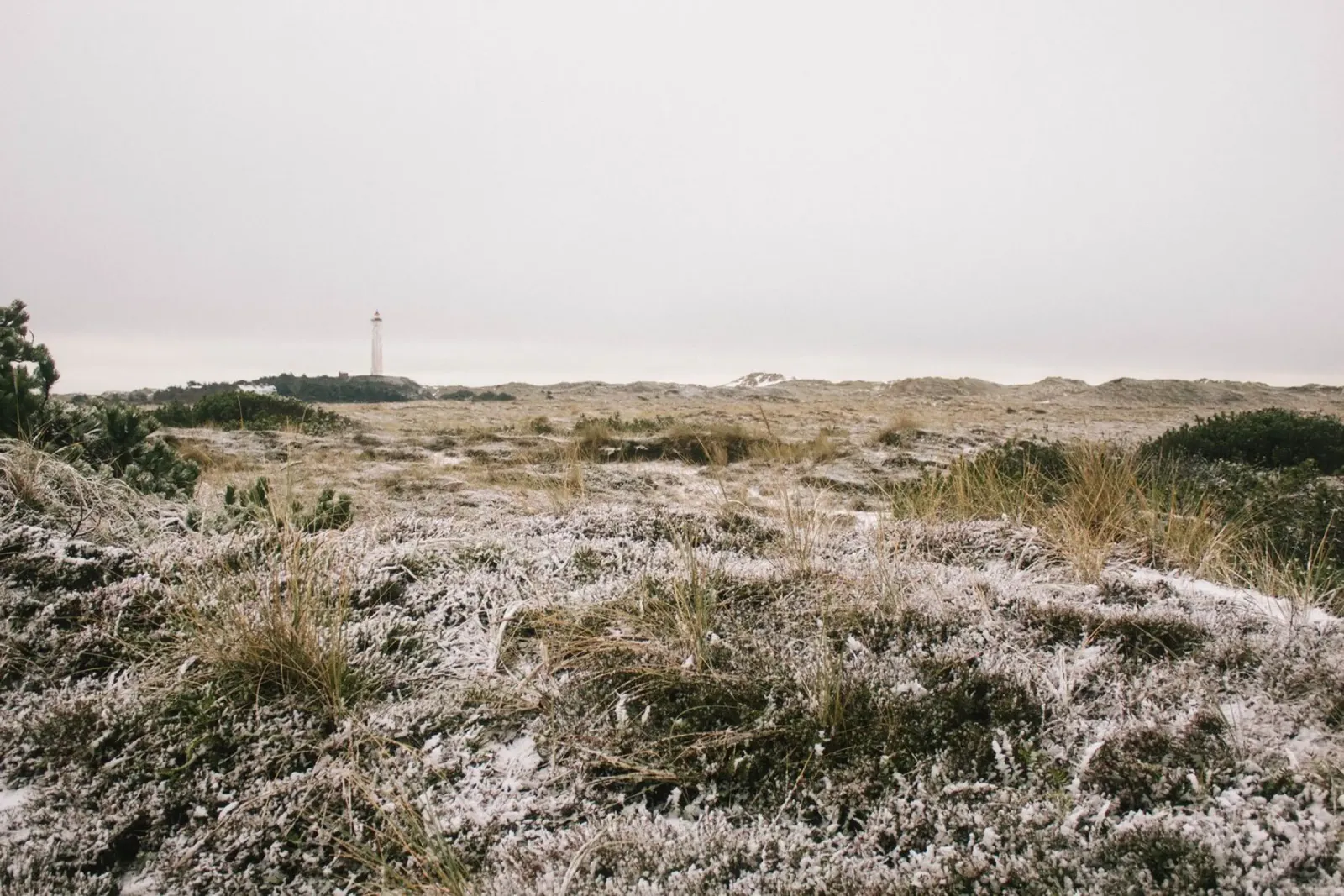 Leuchtturm in Winterlandschaft pellicola backlit da The Wild Creative Studio