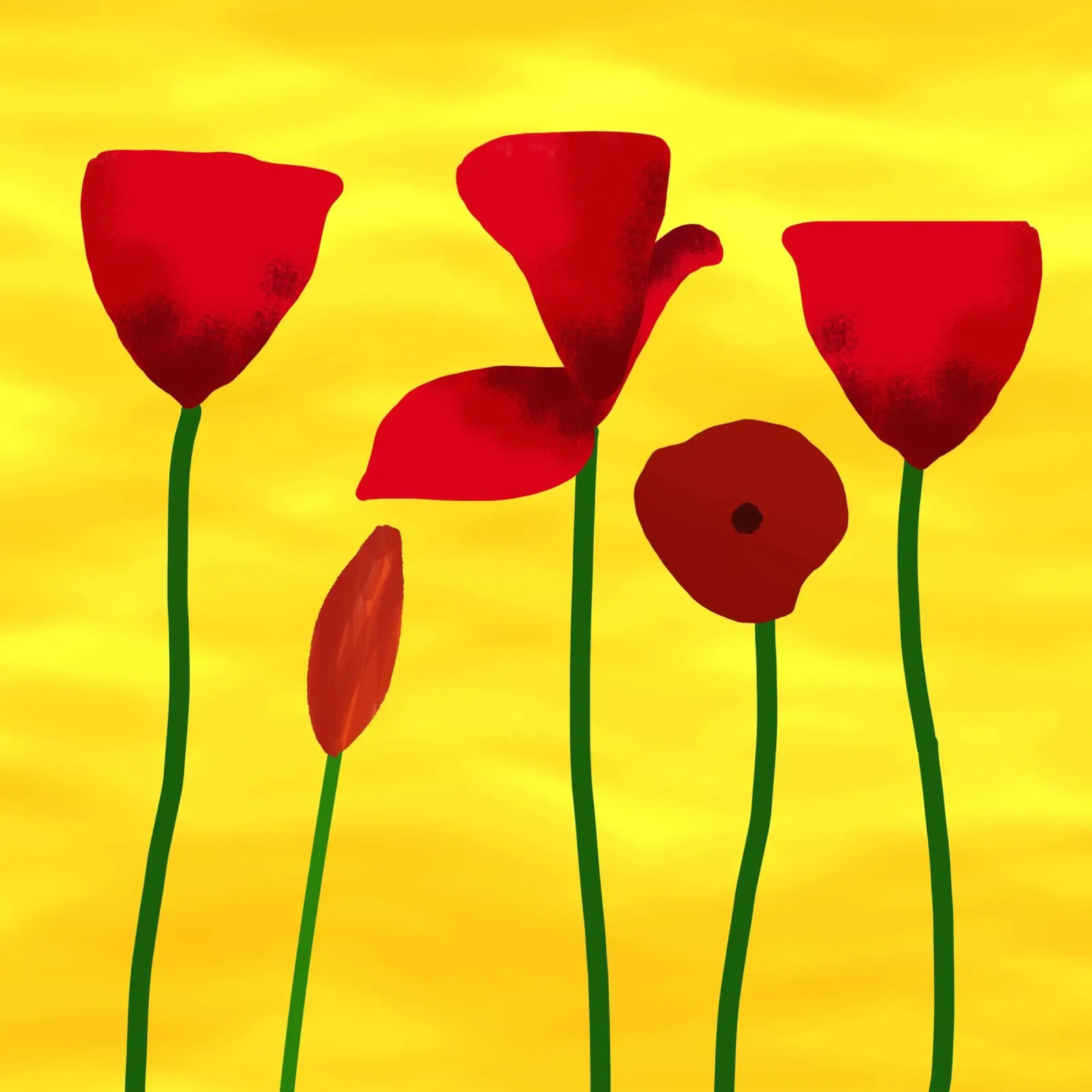 Rote Mohnblumen Forex-Platte von Scratch Productions