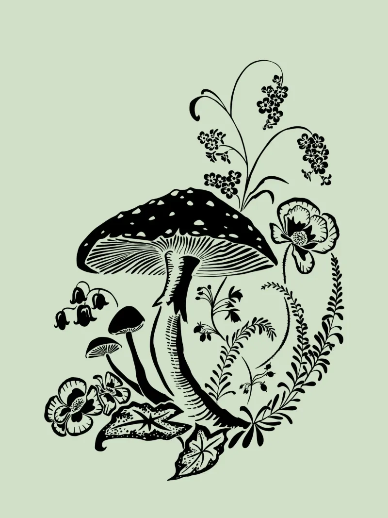 Toadstool with flowers alu-dibond by DYDesign