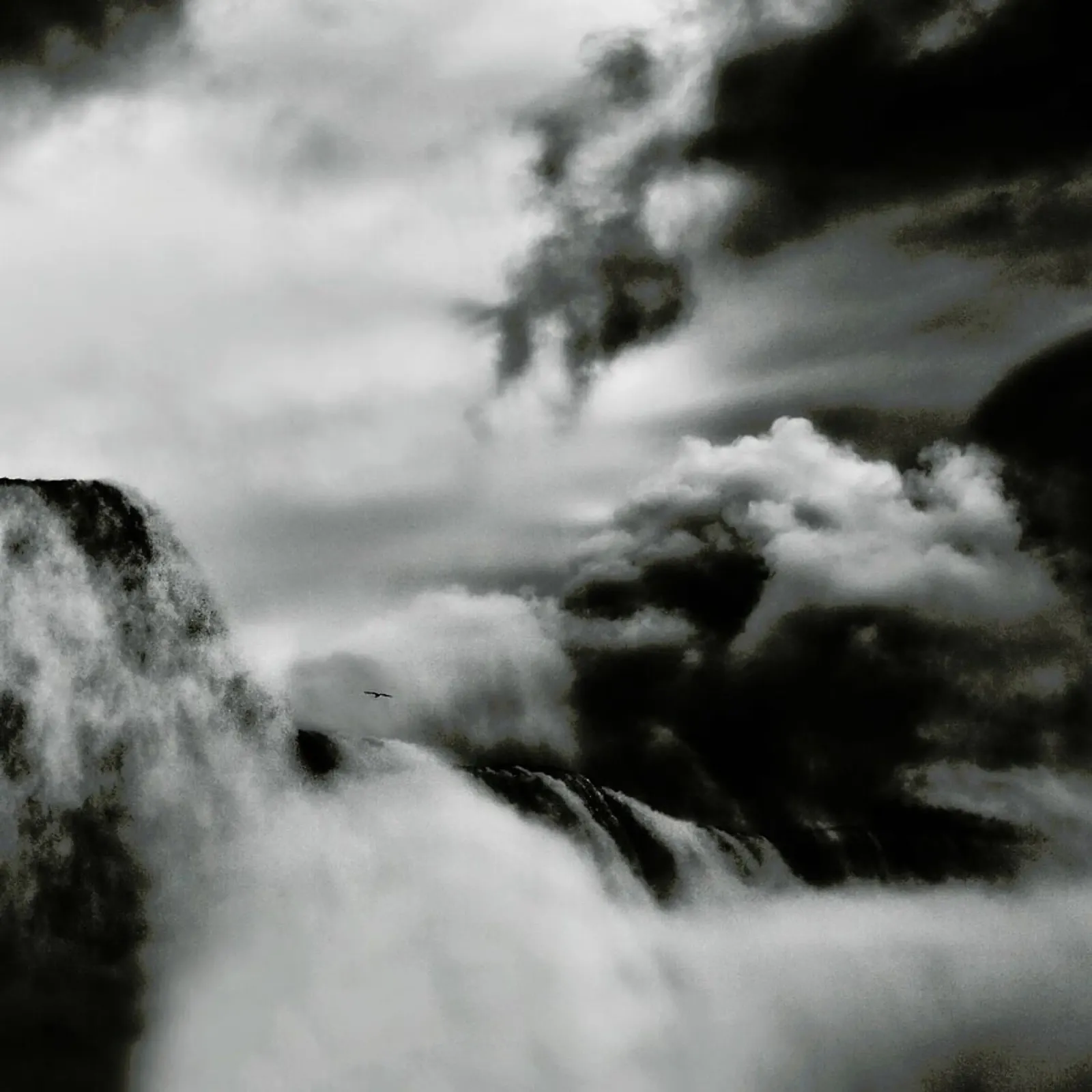 Amazing power and beauty - Yvette Depaepe poster da Pictufy