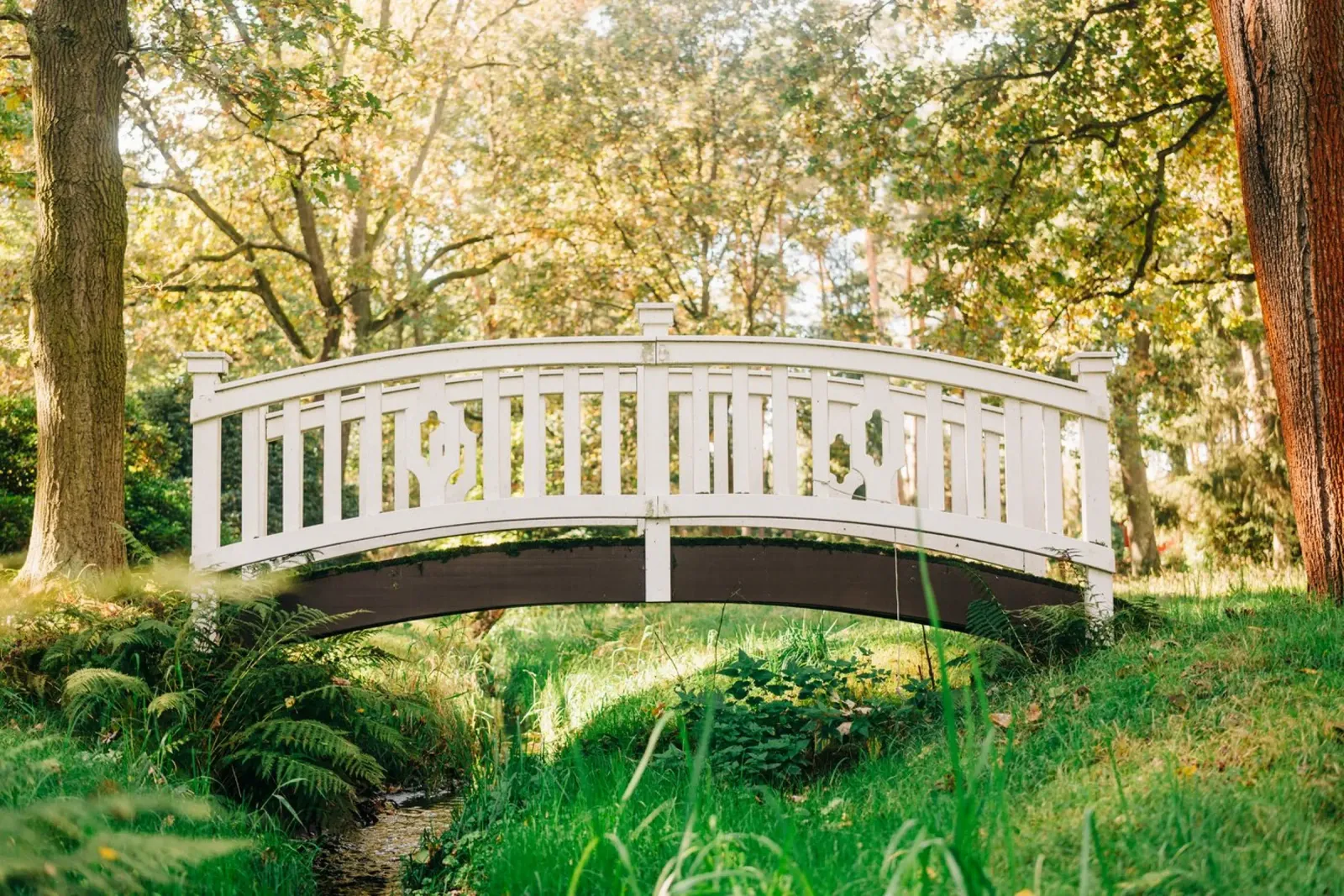 White bridge in the forest - summer idyll by the stream canvas by Bold and Retro