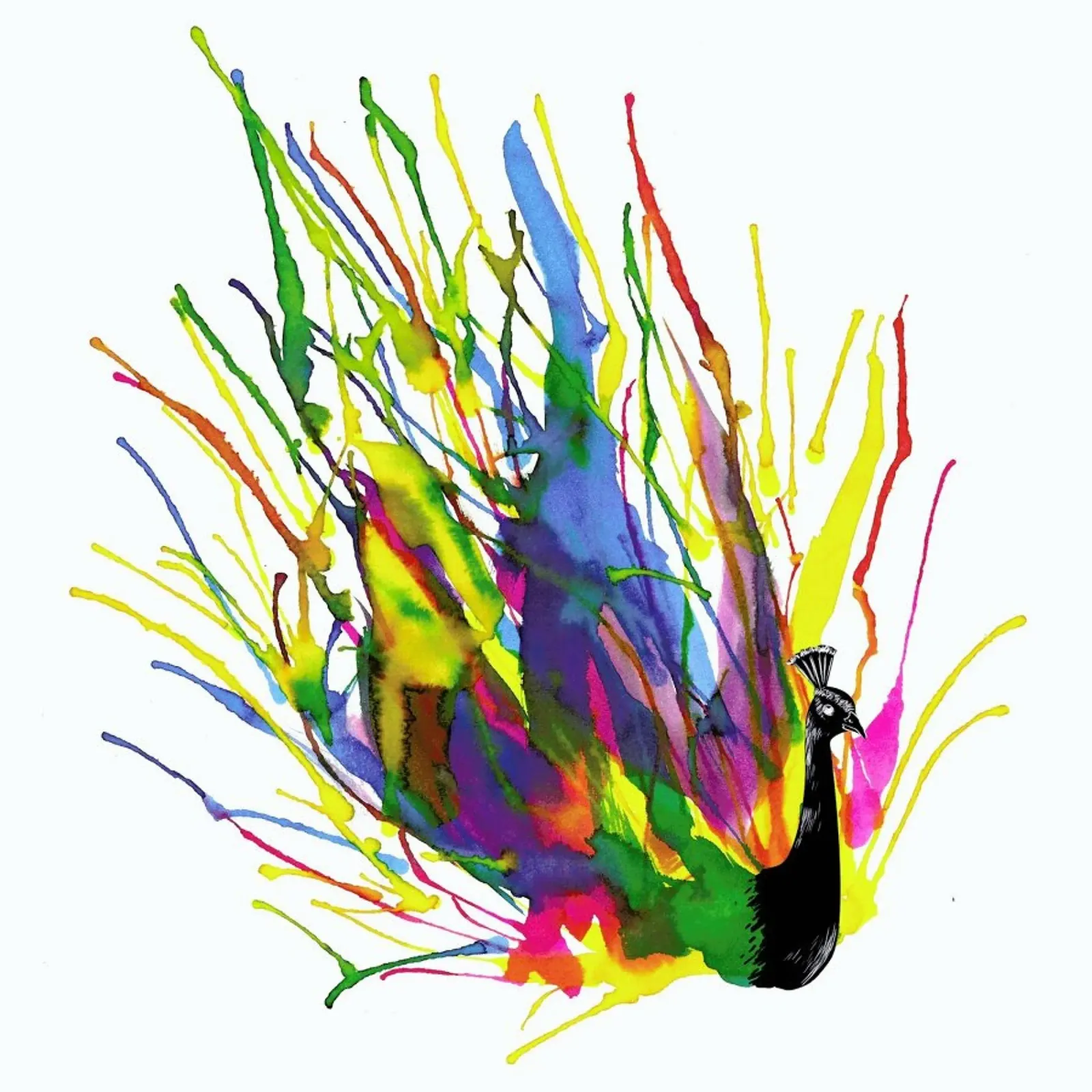 Colorful Peacock poster con telaio in alluminio da Tobe Fonseca