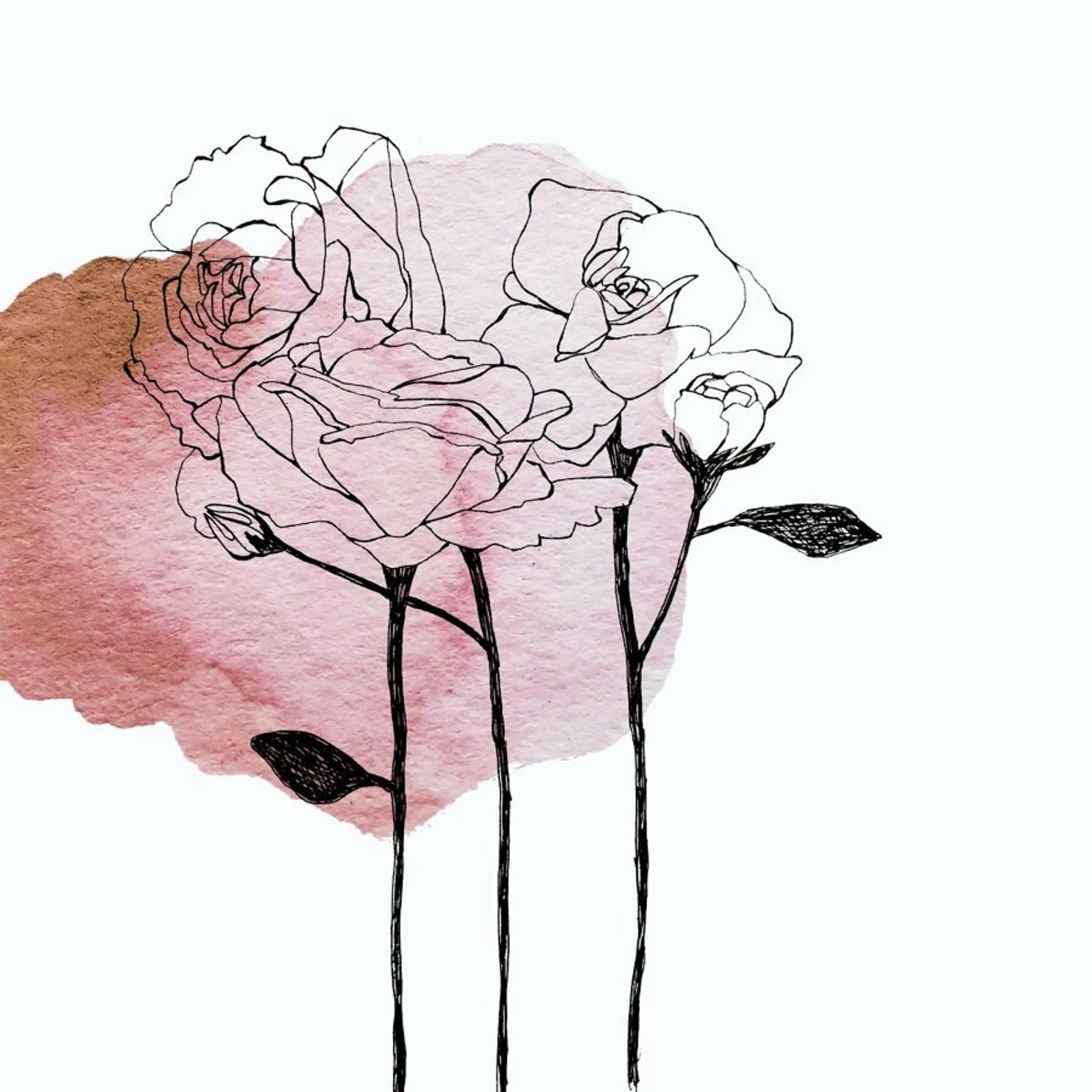 Garden Roses poster de Morgan Kendall