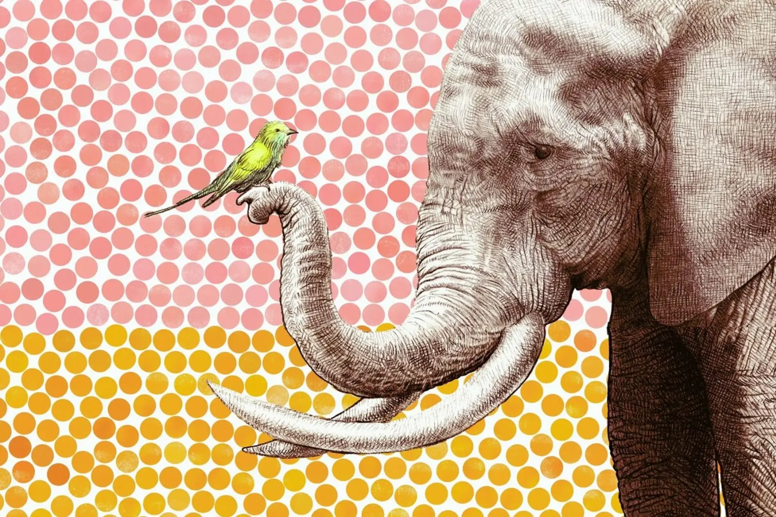 Elephant and Bird pellicola backlit da Eric Fan