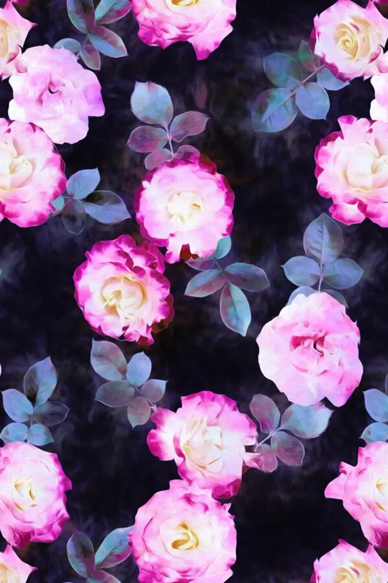 Twilight Roses poster con telaio in alluminio da Micklyn Le Feuvre