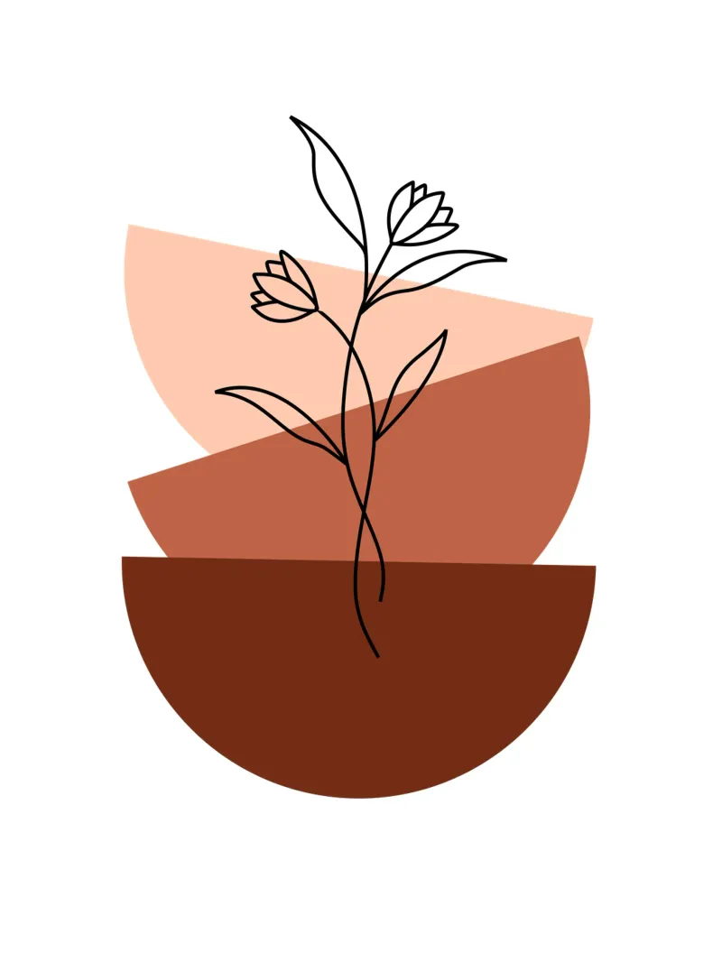 Fiori boho in stile minimalista pellicola backlit da YSV MINIMALIST