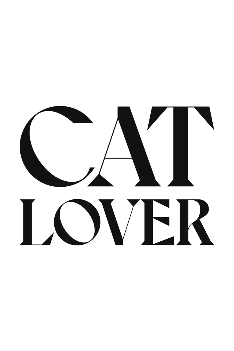 AMANTE DEI GATTI tela con Cornice a cassetta da n.4