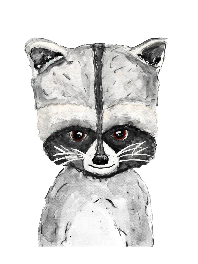 Procione impertinente pellicola backlit da Illustration Raissa Oltmanns