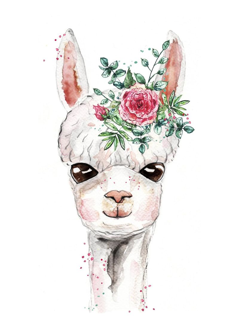 Niedliches Alpaka Baby Girl Poster von Illustration Raissa Oltmanns