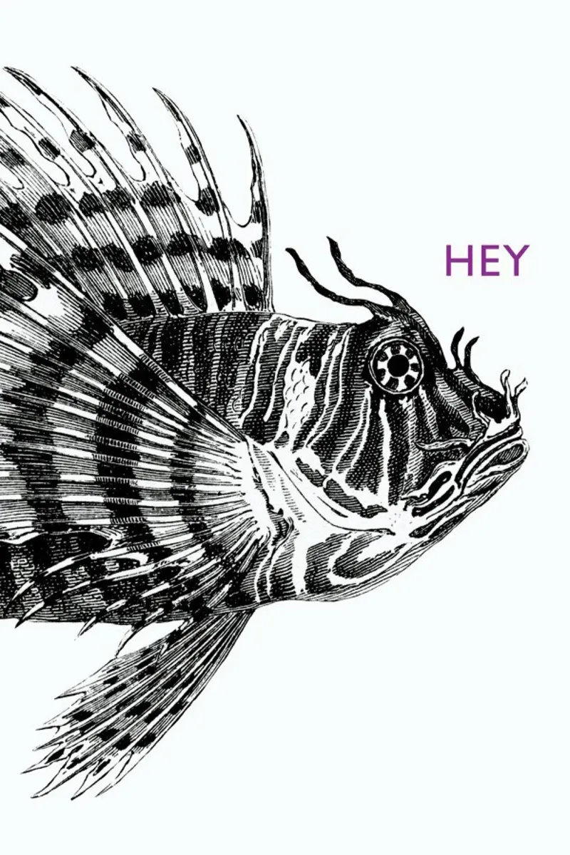 Hey Lionfish poster met houten frame van The Gently Unfurling Sneak