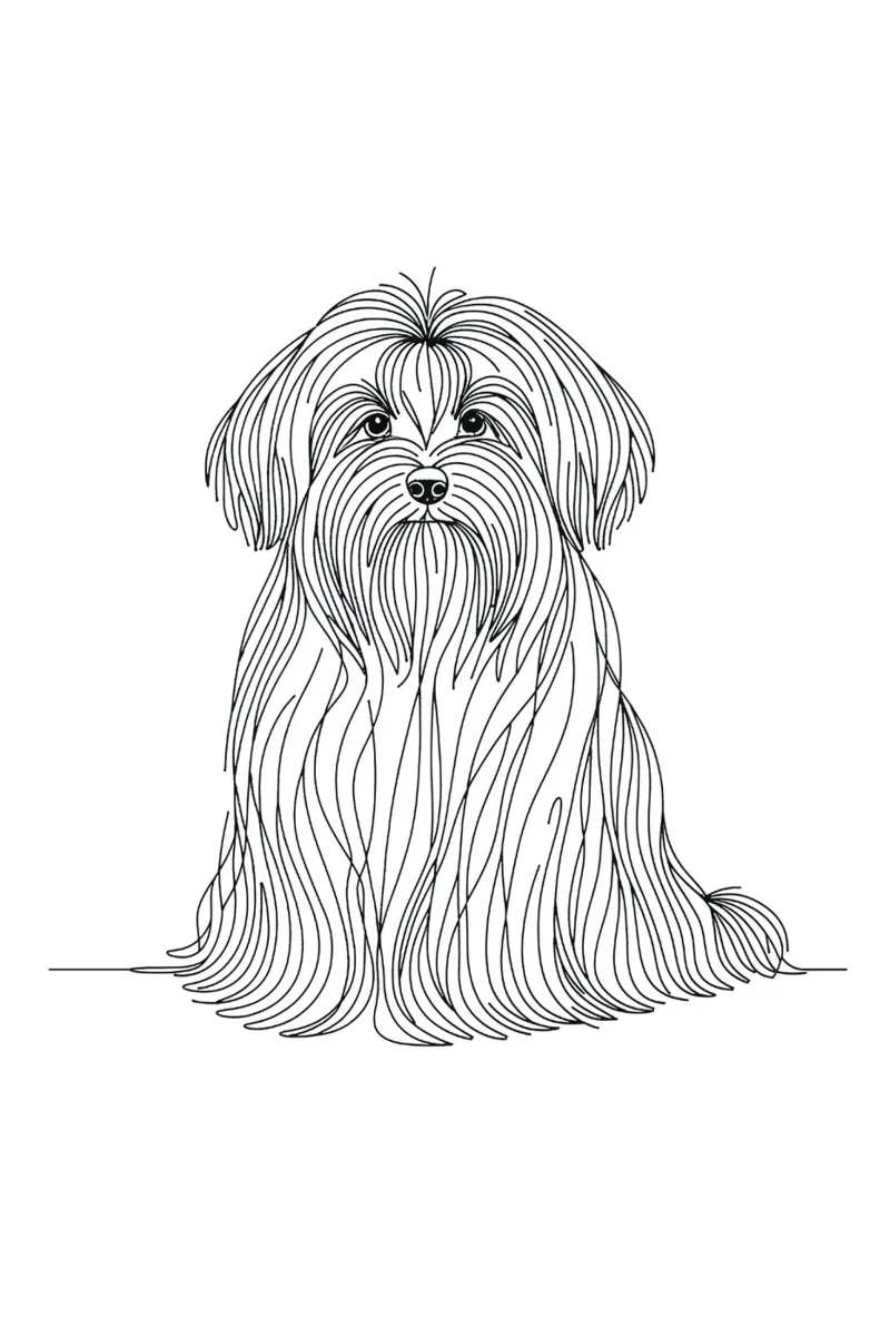 Havanese Dog Line Art Drawing hahnemühle by WijdevenDesign