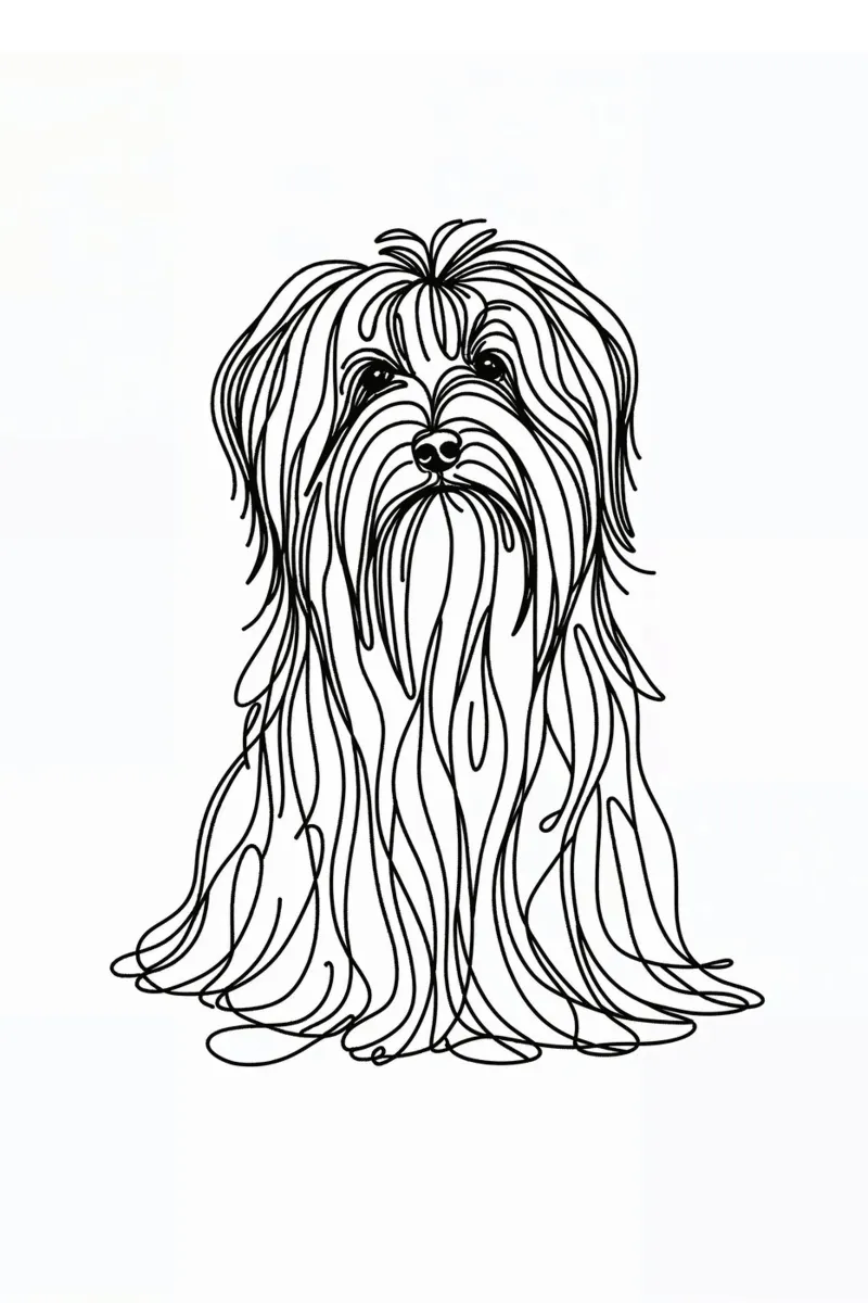 Chien havanais Dessin au trait toile avec Caisse américaine de WijdevenDesign