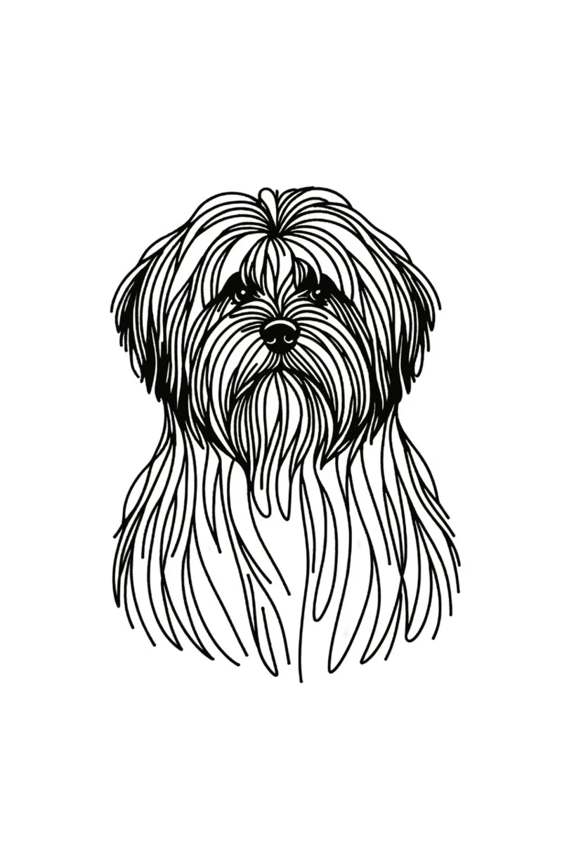 Chien Lhasa Apso Dessin au trait toile avec Caisse américaine de WijdevenDesign