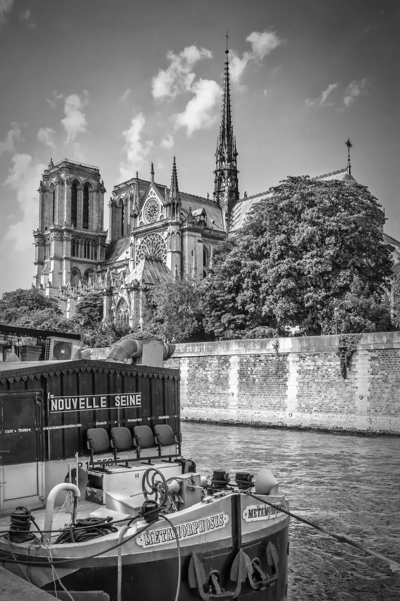 PARIGI Cattedrale di Notre-Dame | Monocromo carta hahnemühle da Melanie Viola