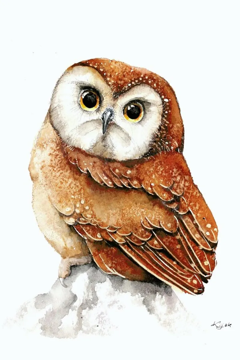 Pygmy Owl plexiglass da Karolina Kijak
