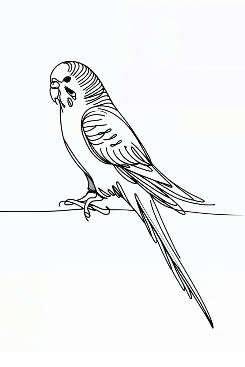 Parakeet Bird Line Art Drawing alu-dibond by WijdevenDesign